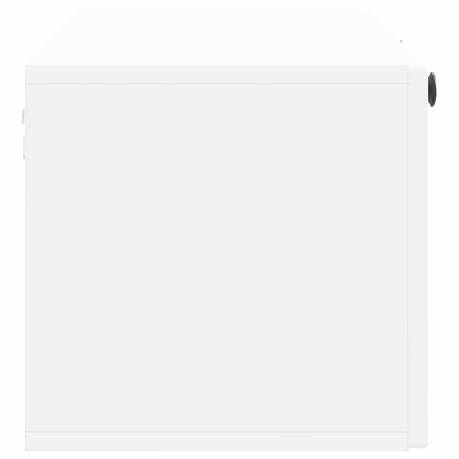 vidaXL Szafka RTV montowana na ścianie Biały 98 x 31 x 30 cm