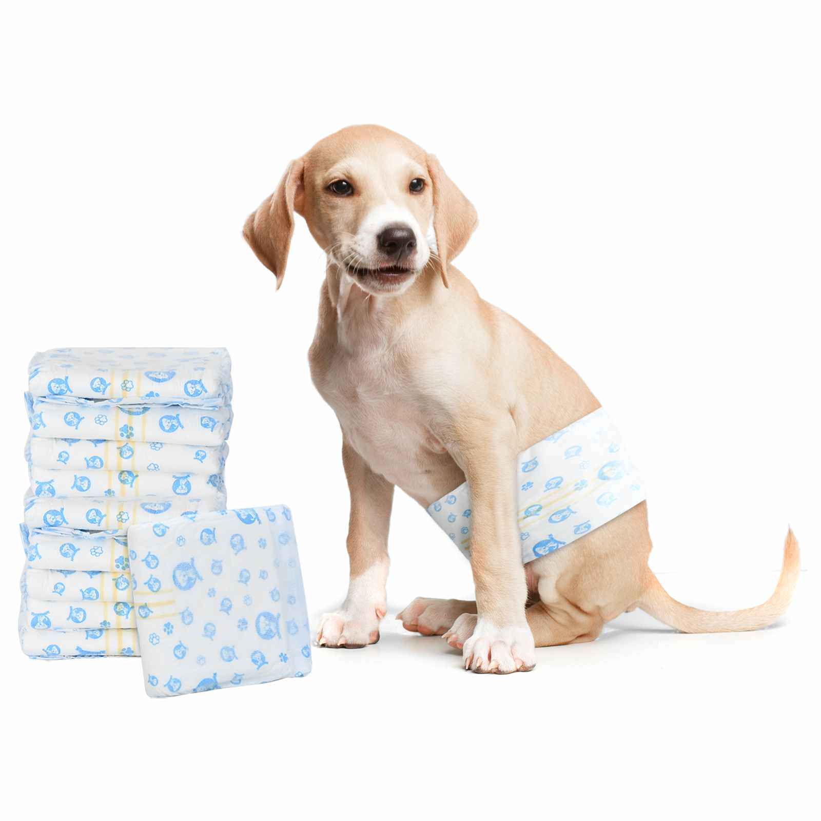 vidaXL Jednorazowy Pampers dla Psów Samców 30 pcs Biały XS