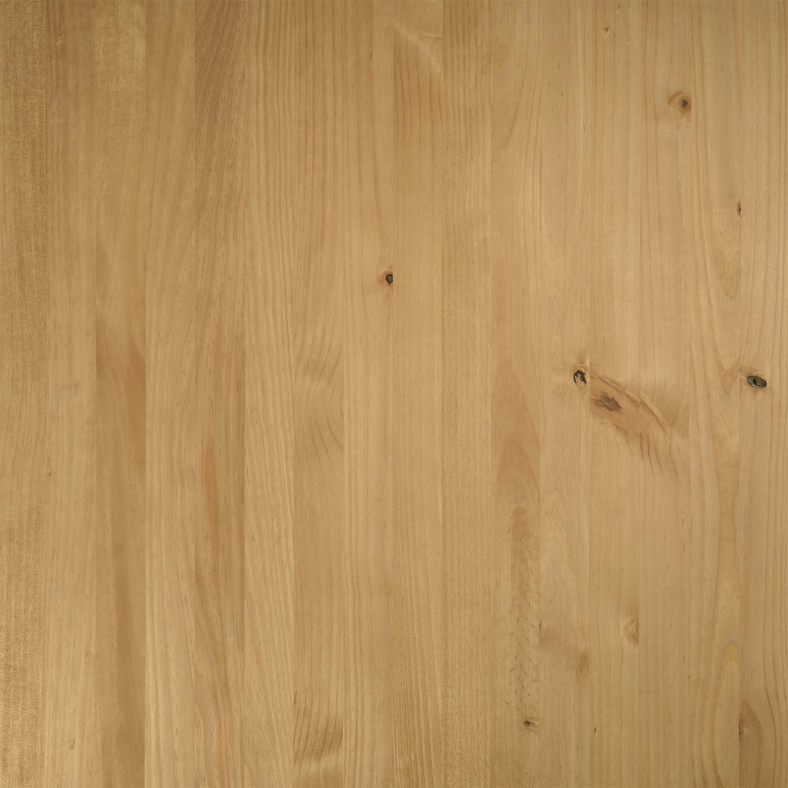 vidaXL Ławka jadalniana NOAIN 120 x 41 x 45 cm Lite drewno sosnowe