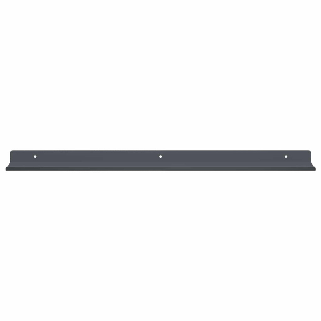 vidaXL Półka wisząca 2 pcs Antracyt 60 x 8,5 x 2,5 cm Stal