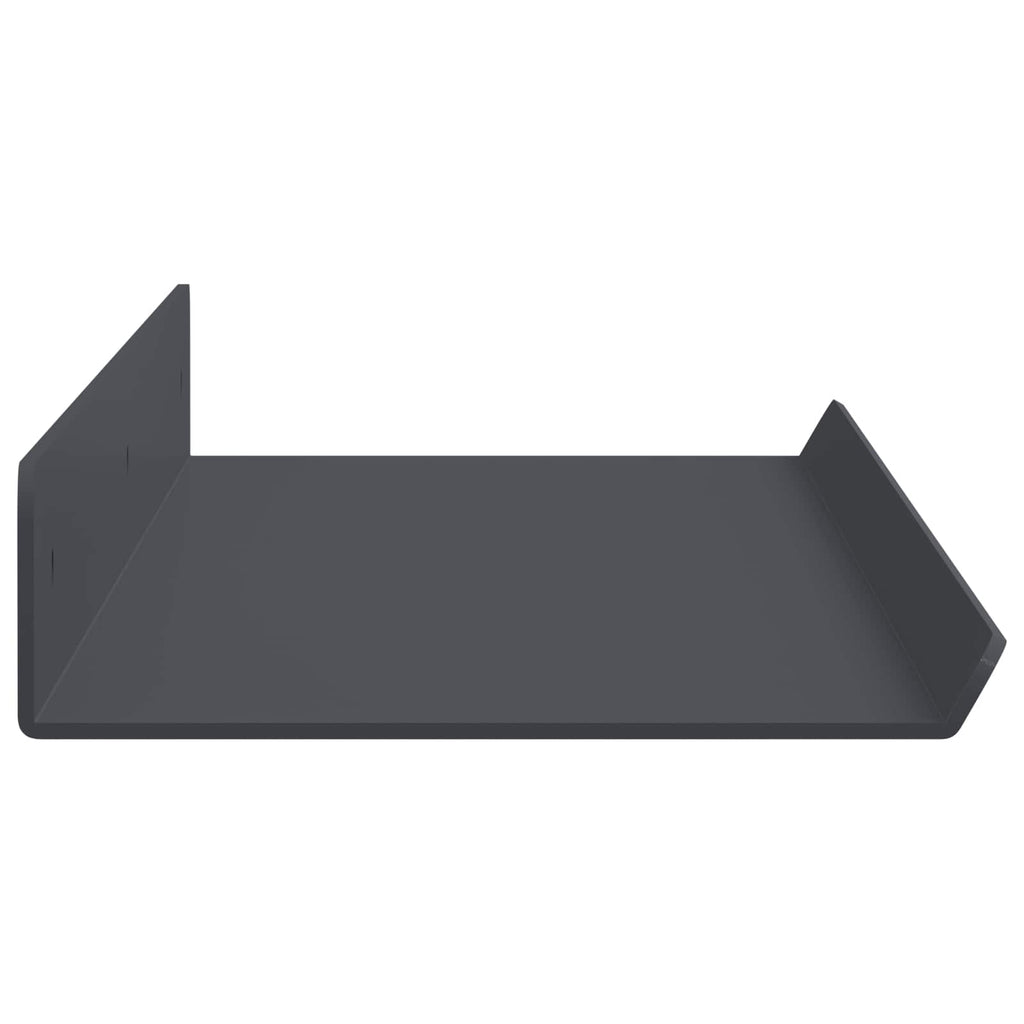 vidaXL Półka wisząca 2 pcs Antracyt 60 x 8,5 x 2,5 cm Stal