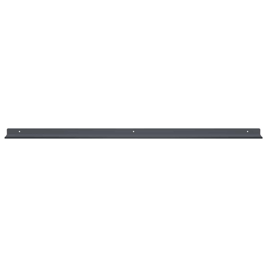 vidaXL Półka wisząca 2 pcs Antracyt 100 x 9 x 2,5 cm Stal