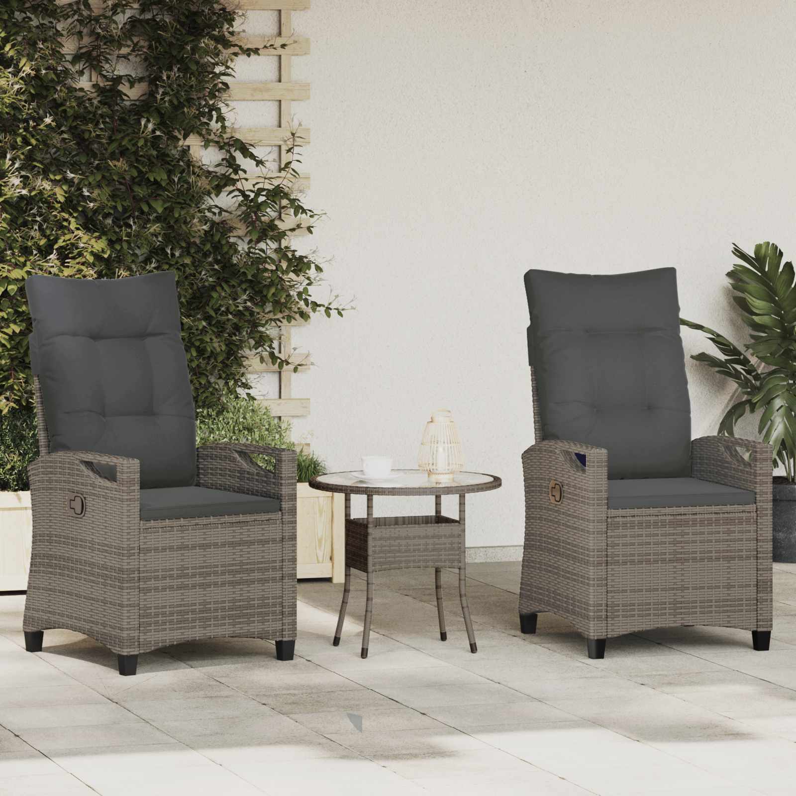 vidaXL Krzesło Ogrodowe 2 pcs Szary i ciemnoszary 56 x 60 x 112 cm