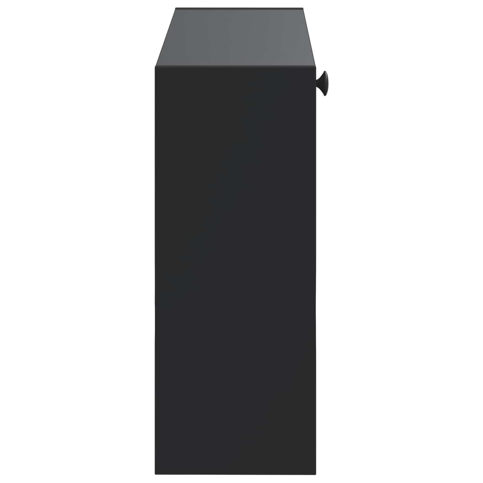 vidaXL Wisząca szafka na buty DELFT 71 x 17 x 43 cm Czarny