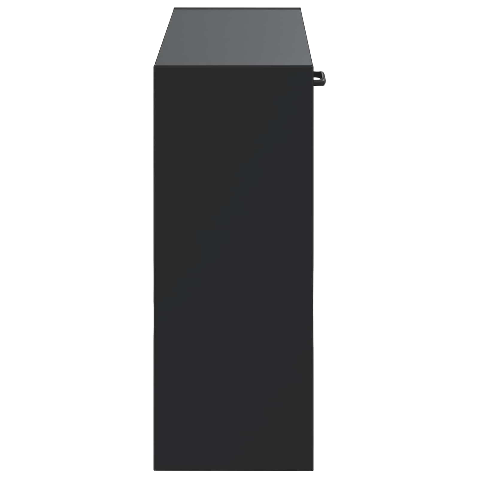 vidaXL Wisząca szafka na buty HOORN 71 x 17 x 43 cm Czarny