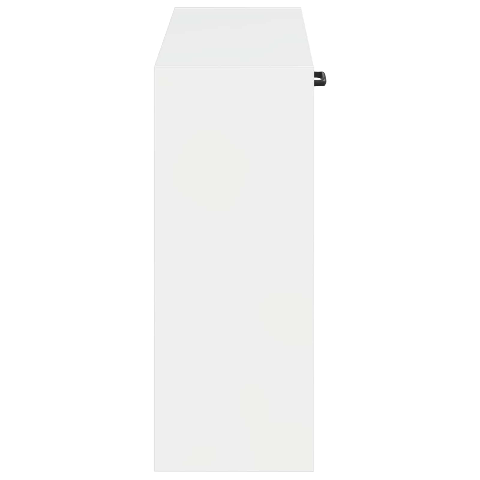 vidaXL Szafka na buty montowana na ścianie UTRECHT 71 x 17 x 43 cm