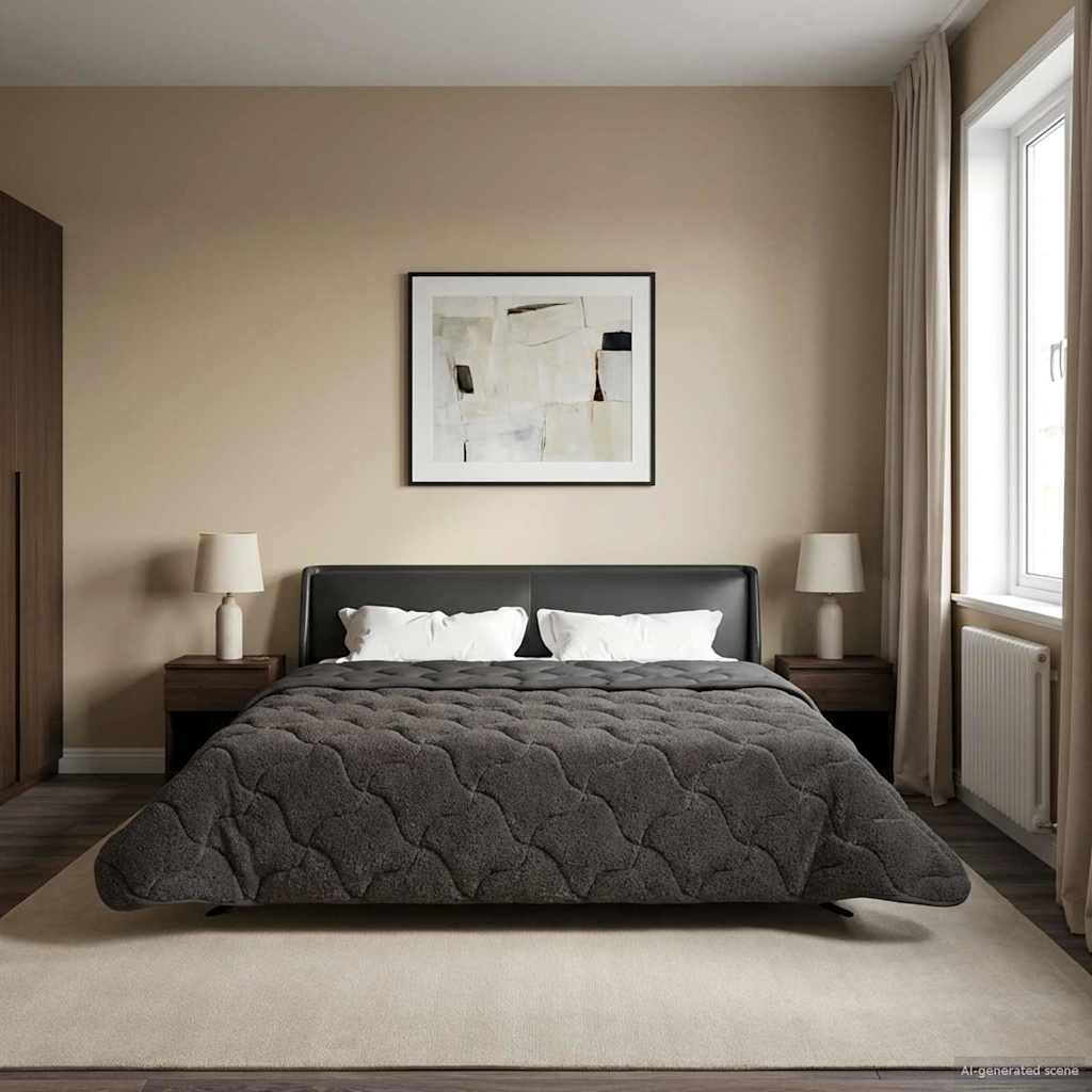 vidaXL Letni Kołdra Antracyt 200 x 240 cm Mikrofibra i Fleece Teddy