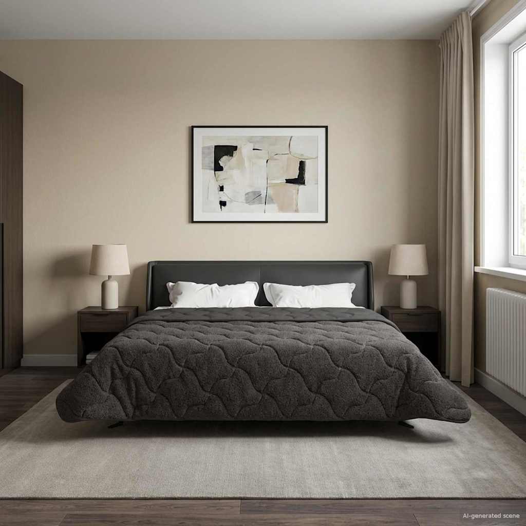 vidaXL Zimowa Kołdra Antracyt 200 x 200 cm Mikrofibra i Fleece Teddy