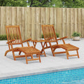 vidaXL Leżak z funkcją pochylania i składania 2 pcs 55 x 146 x 91 cm