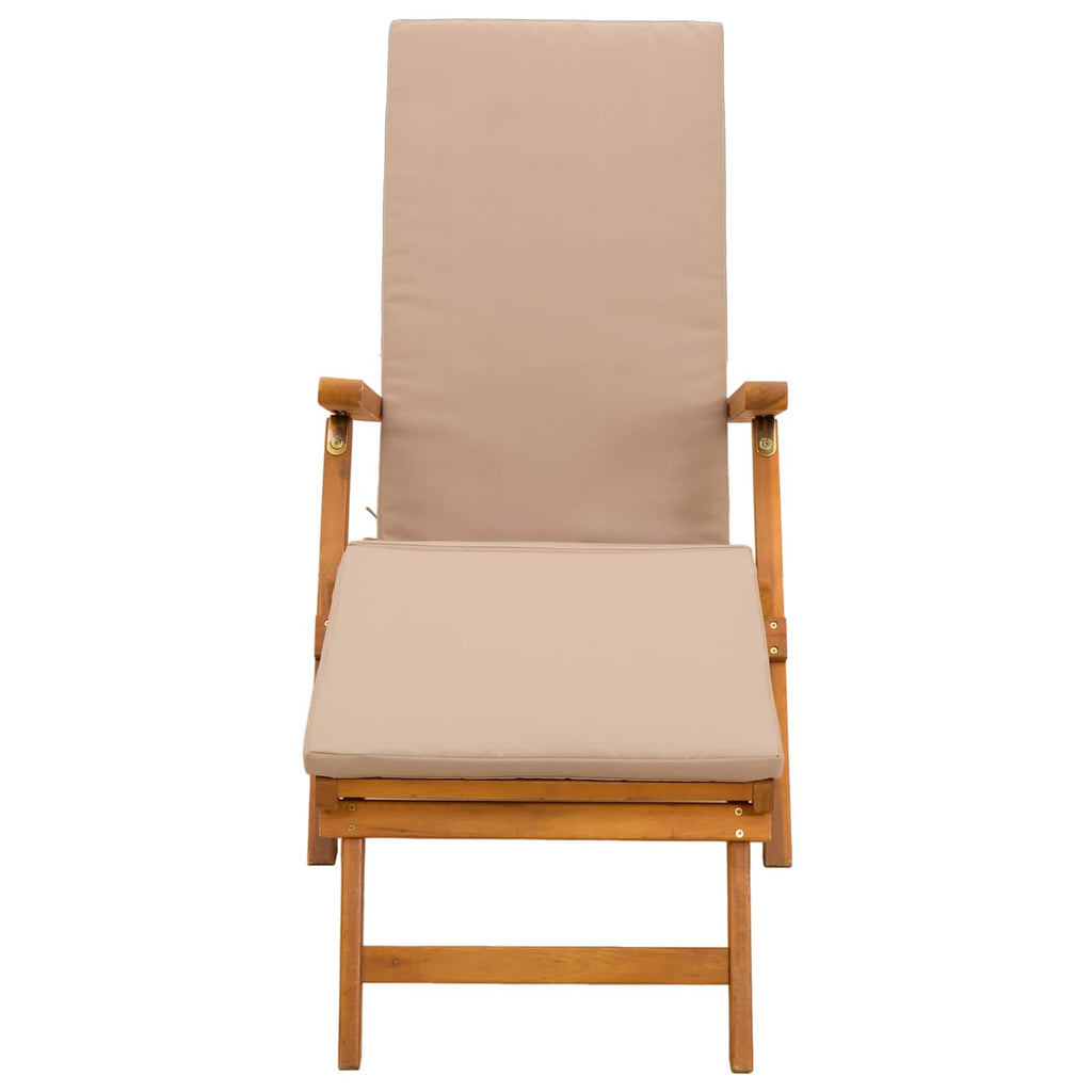 vidaXL Leżak z funkcją pochylania i składania 2 pcs 55 x 146 x 91 cm