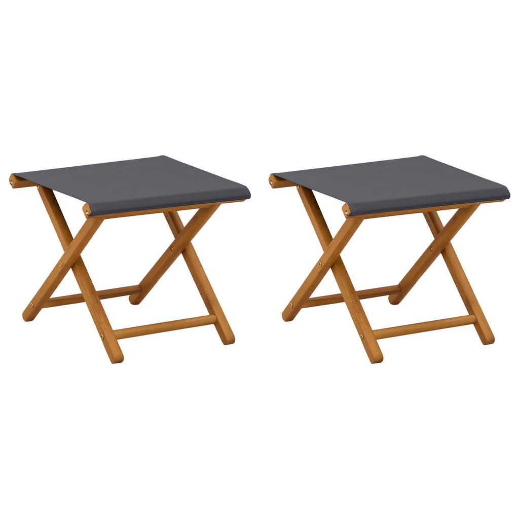 vidaXL Fotel ogrodowy 2 pcs Lite Drewno Eukaliptusowe Szary