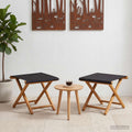 vidaXL Fotel ogrodowy 2 pcs Lite Drewno Eukaliptusowe Czarny