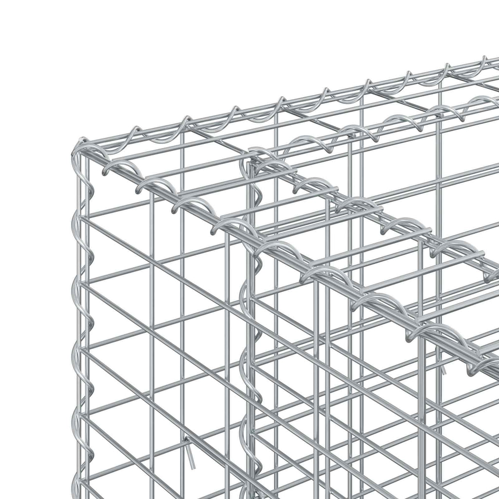vidaXL Podniesione łóżko gabionowe 2 pcs Srebrny 250 x 50 x 80 cm
