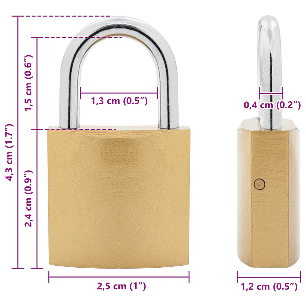 vidaXL Zamek U z kluczami 2 pcs Mosiądz Żelazo