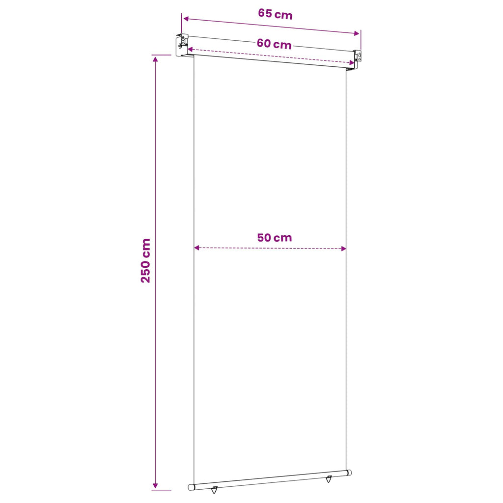vidaXL Markiza boczna na balkon 60 x 250 cm