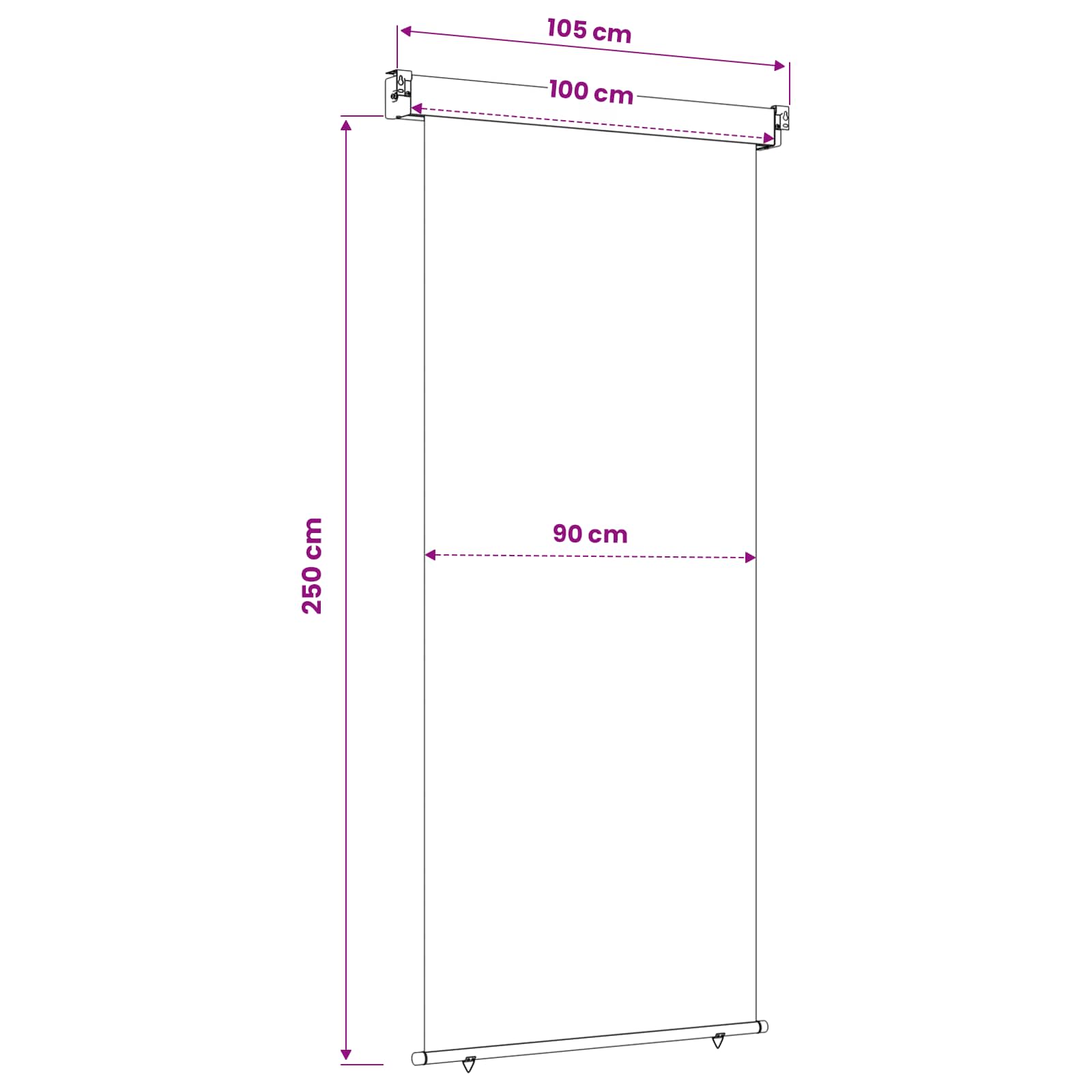 vidaXL Markiza boczna na balkon 100 x 250 cm
