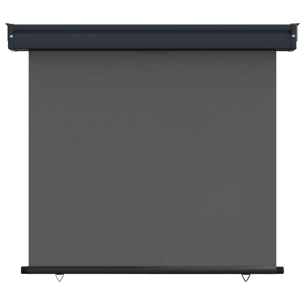 vidaXL Markiza boczna na balkon 100 x 250 cm