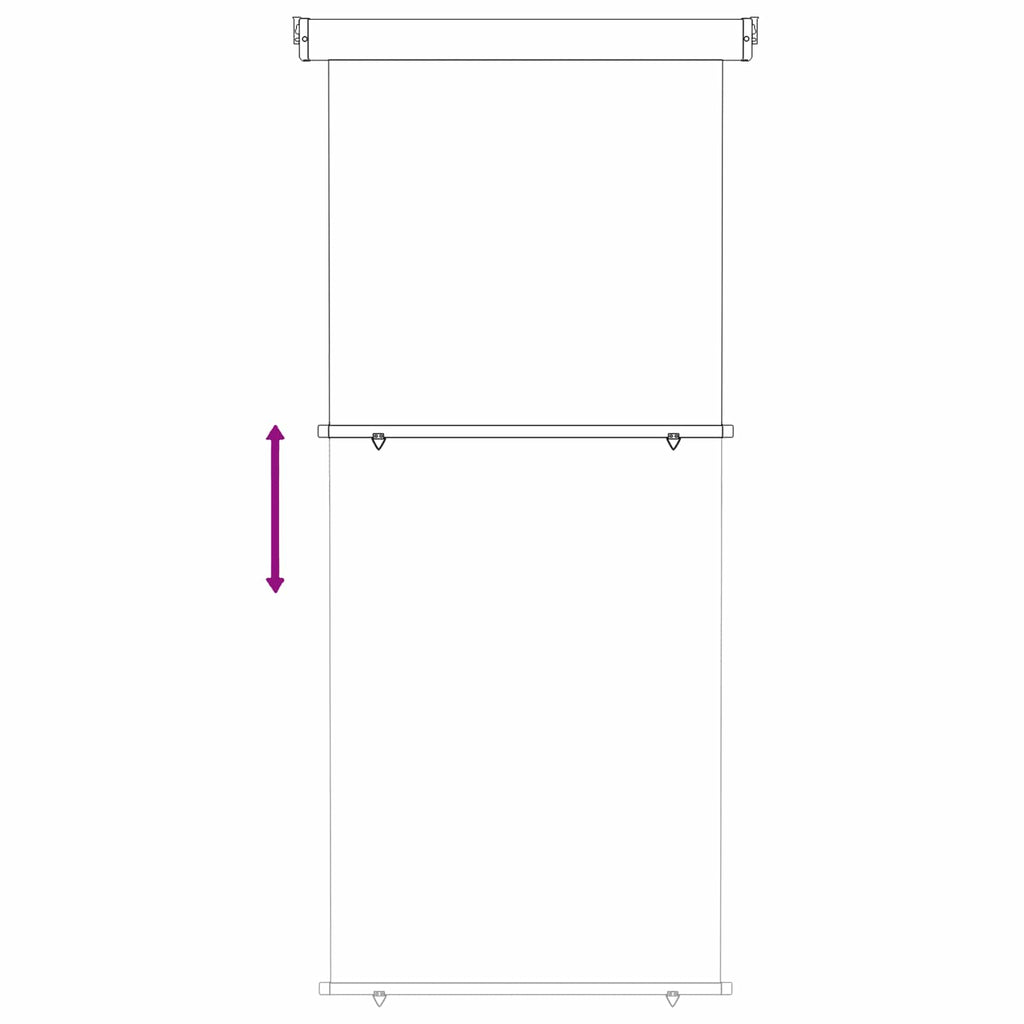 vidaXL Markiza boczna na balkon 100 x 250 cm
