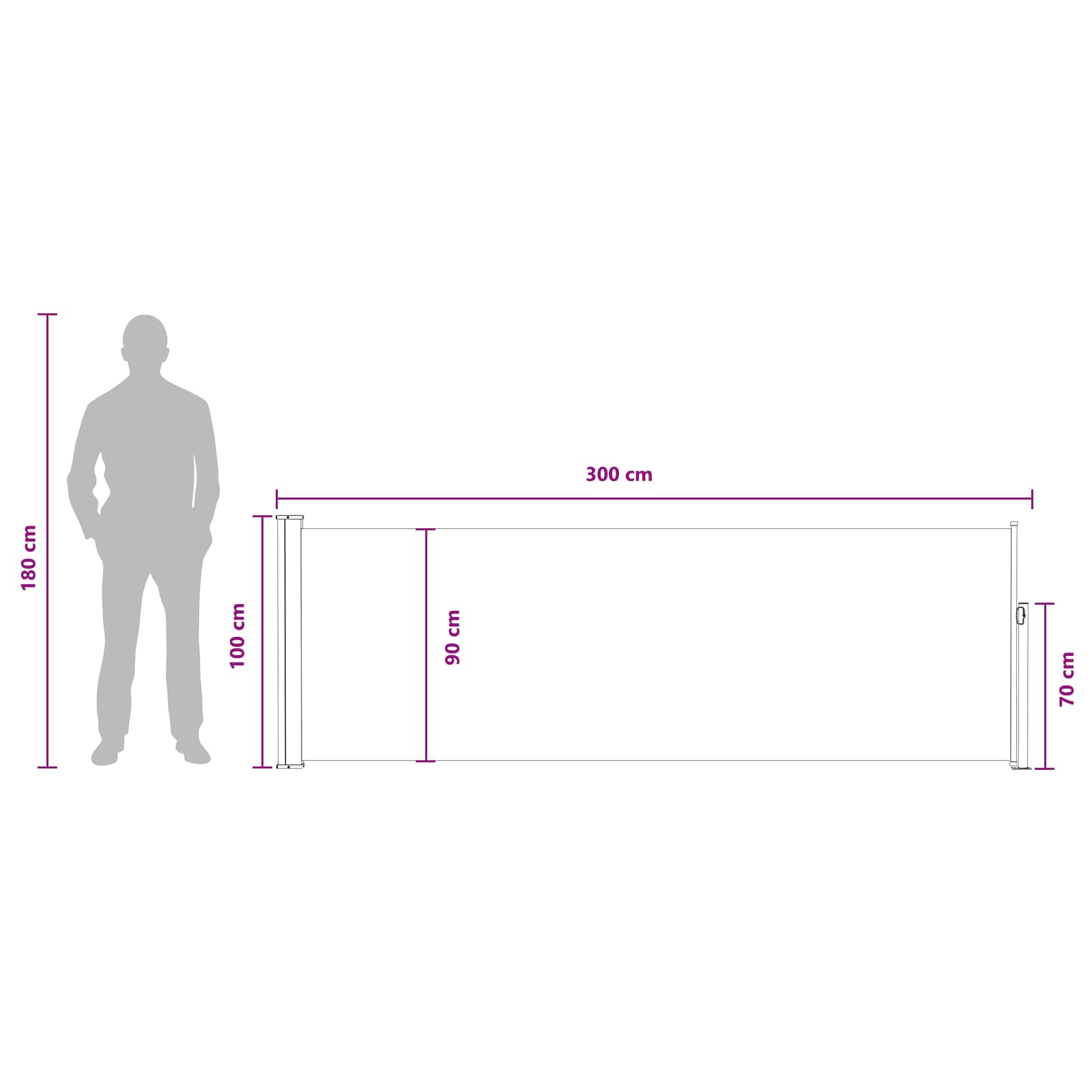 vidaXL Rozkładany boczny markiz 300 x 100 cm Poliester Prostokątny