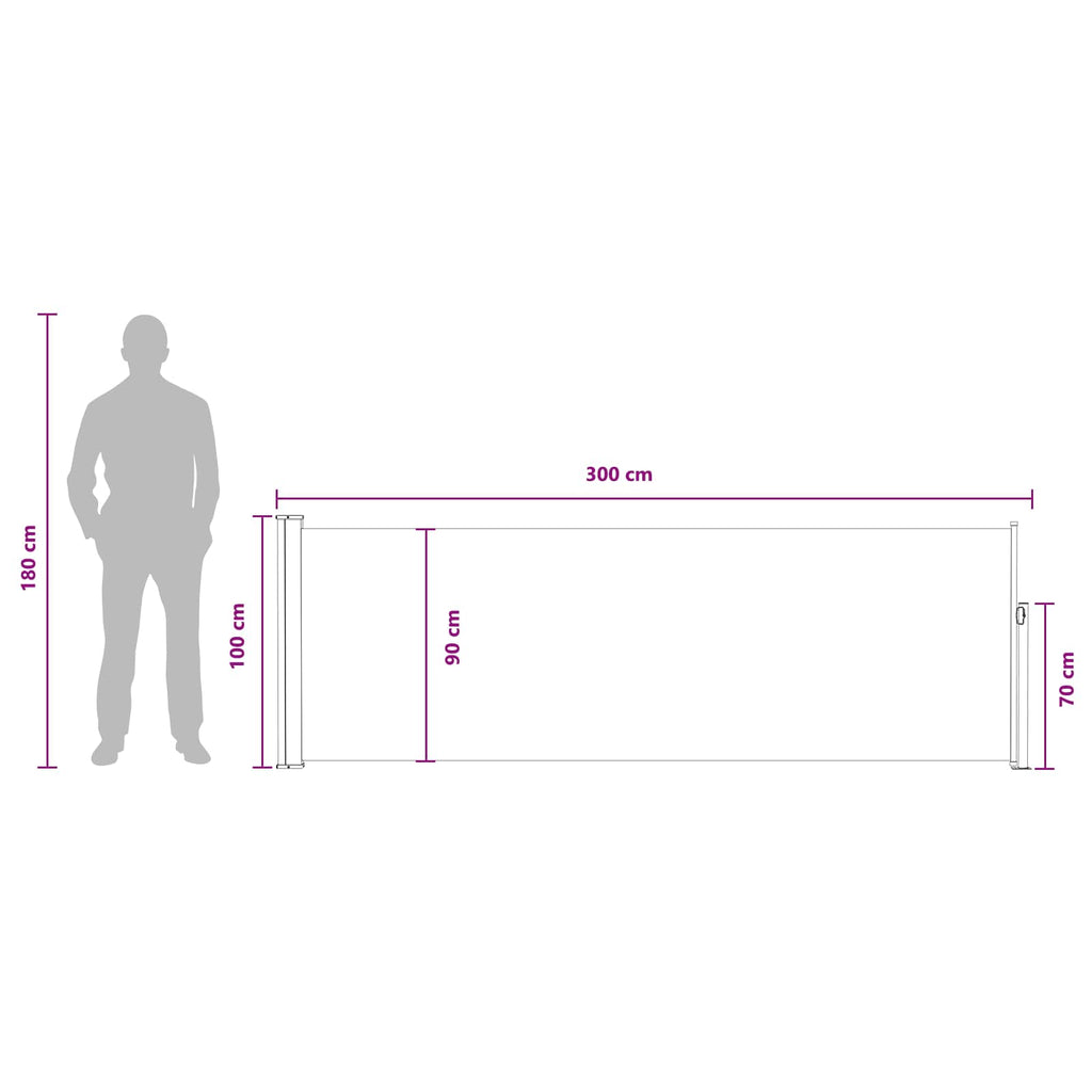 vidaXL Rozkładany boczny markiz 300 x 100 cm Poliester Prostokątny
