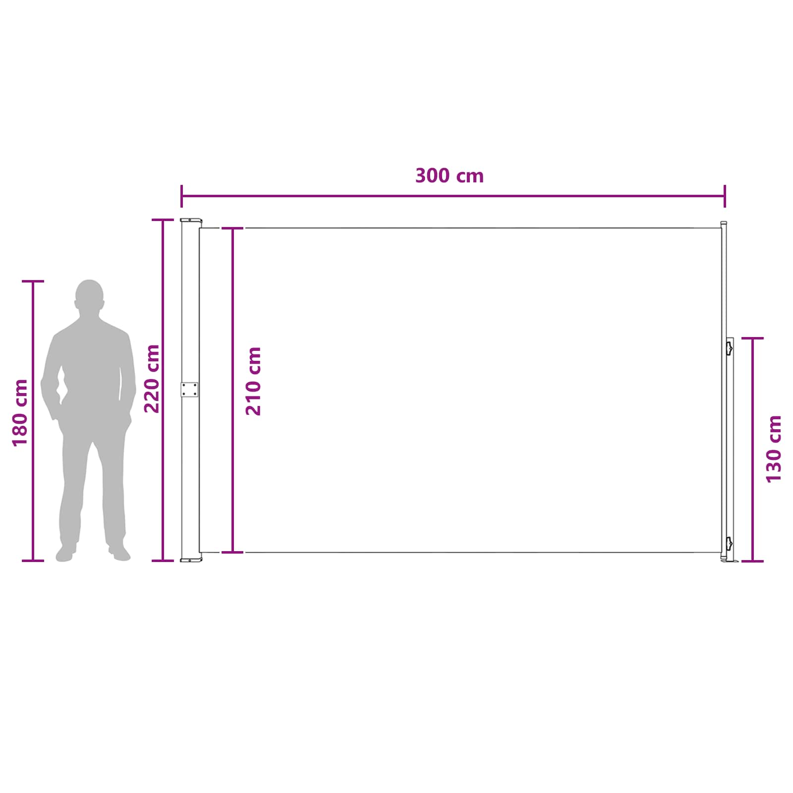 vidaXL Rozkładany boczny markiz 220 x 300 cm Poliester Prostokątny