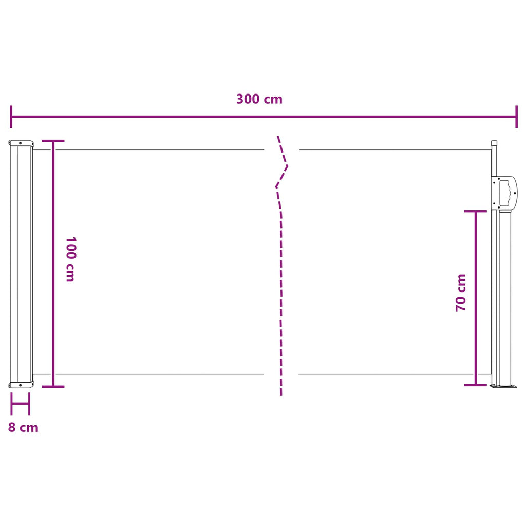 vidaXL Rozkładany boczny markiz antracytowy 300 x 100 cm Poliester