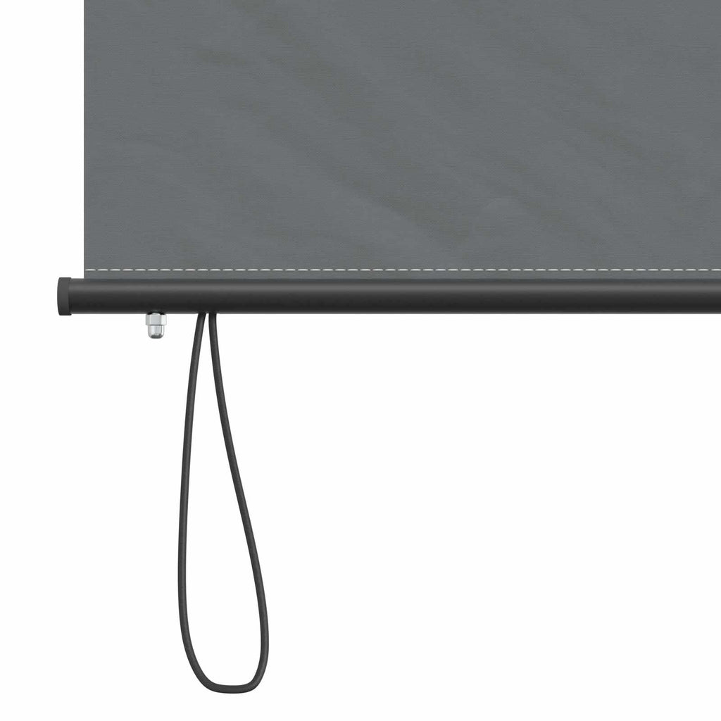 vidaXL Roleta jasnoszary 120 x 250 cm Materiał i Aluminium