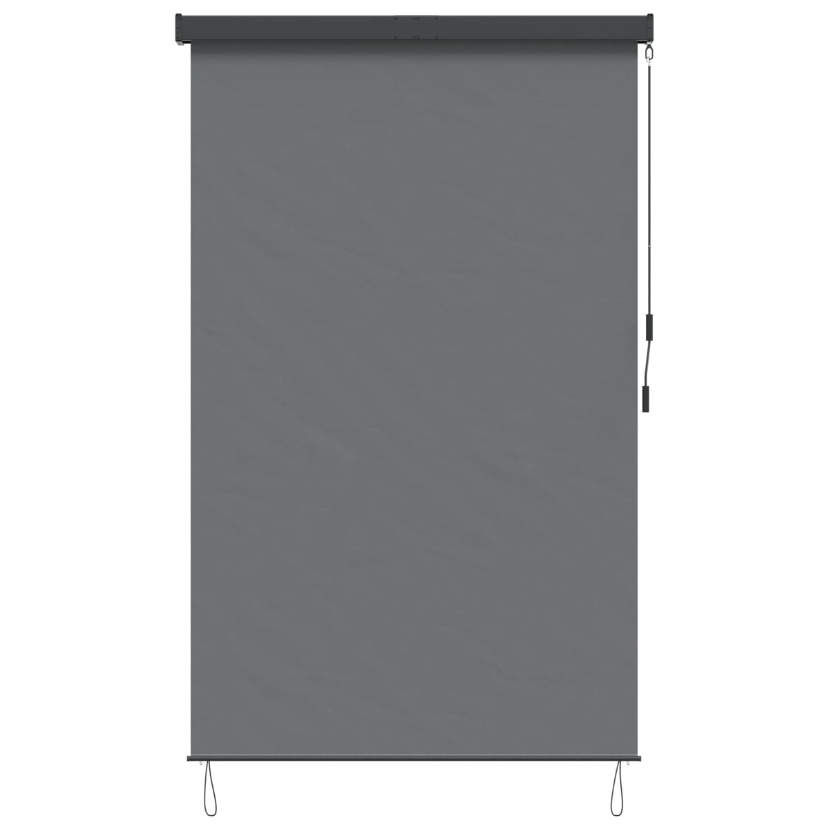 vidaXL Roleta jasnoszary 120 x 250 cm Materiał i Aluminium