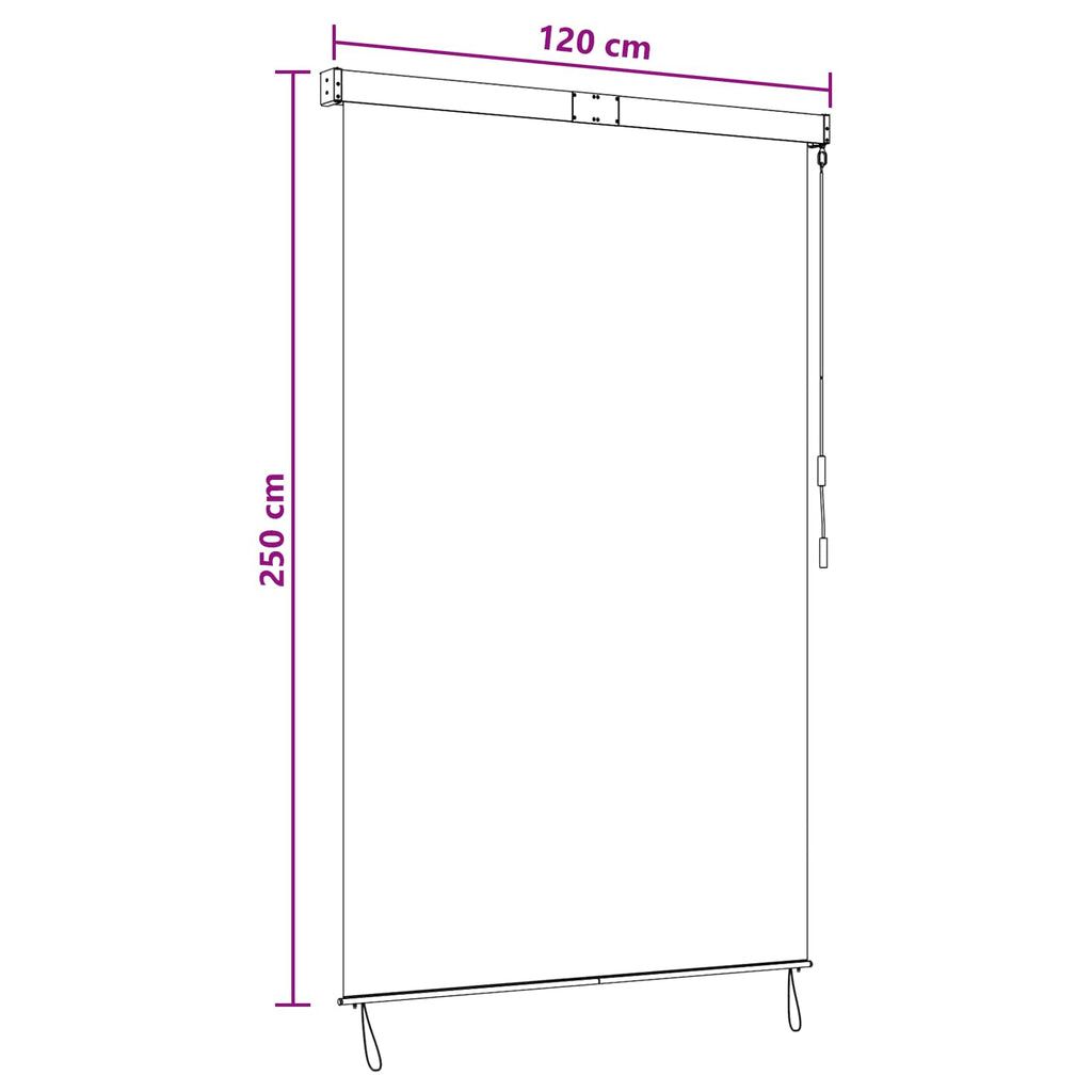 vidaXL Roleta jasnoszary 120 x 250 cm Materiał i Aluminium