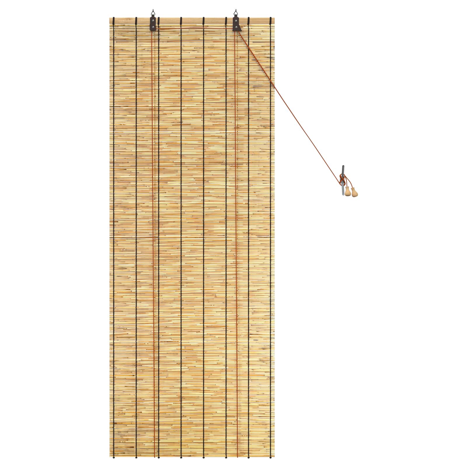 vidaXL Roleta naturalny 60 x 160 cm Trzcina