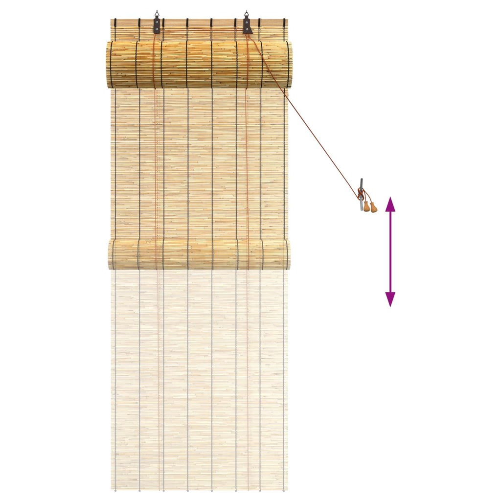 vidaXL Roleta naturalny 60 x 160 cm Trzcina