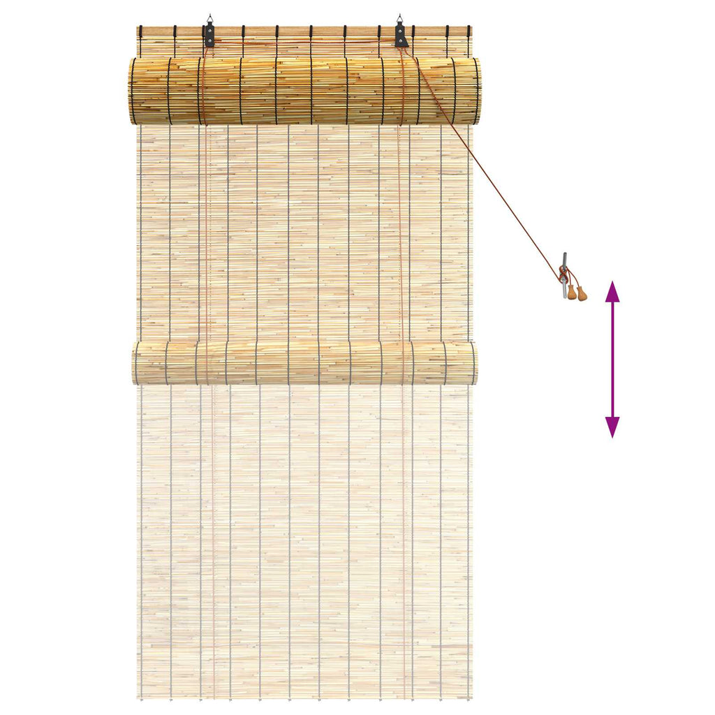 vidaXL Roleta naturalny 80 x 160 cm Trzcina
