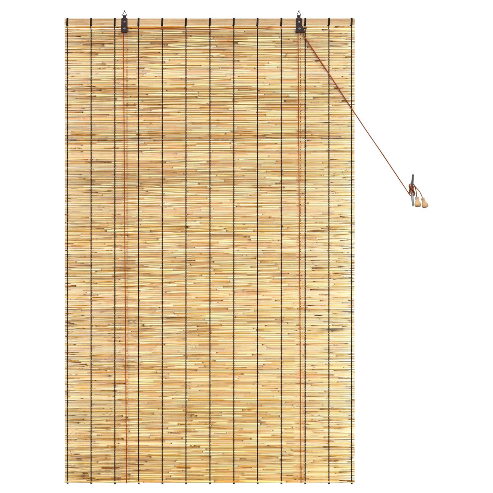 vidaXL Roleta naturalny 100 x 160 cm Trzcina