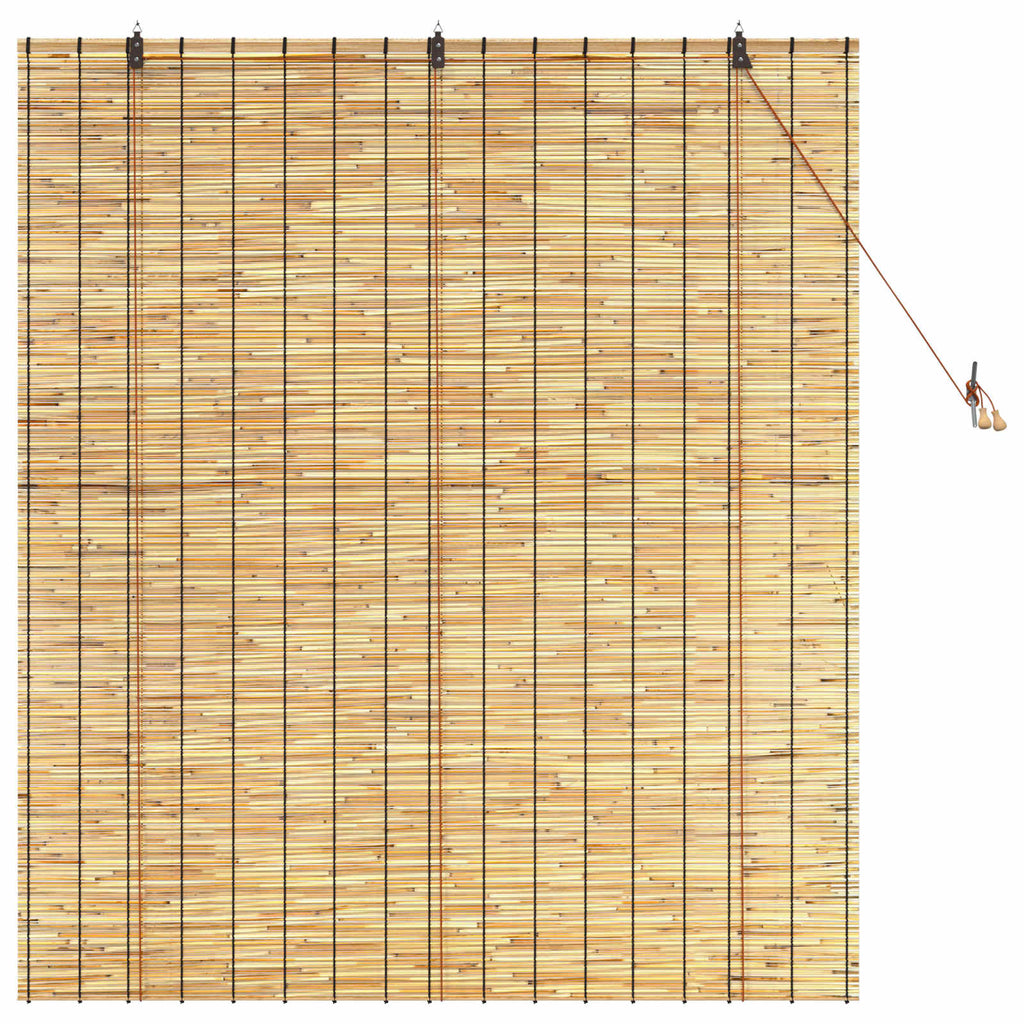 vidaXL Roleta naturalny 140 x 160 cm Trzcina