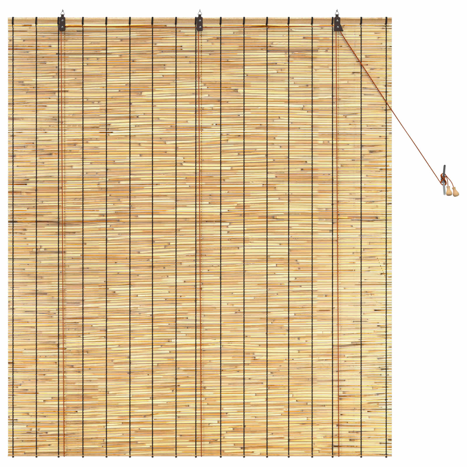 vidaXL Roleta naturalny 140 x 160 cm Trzcina