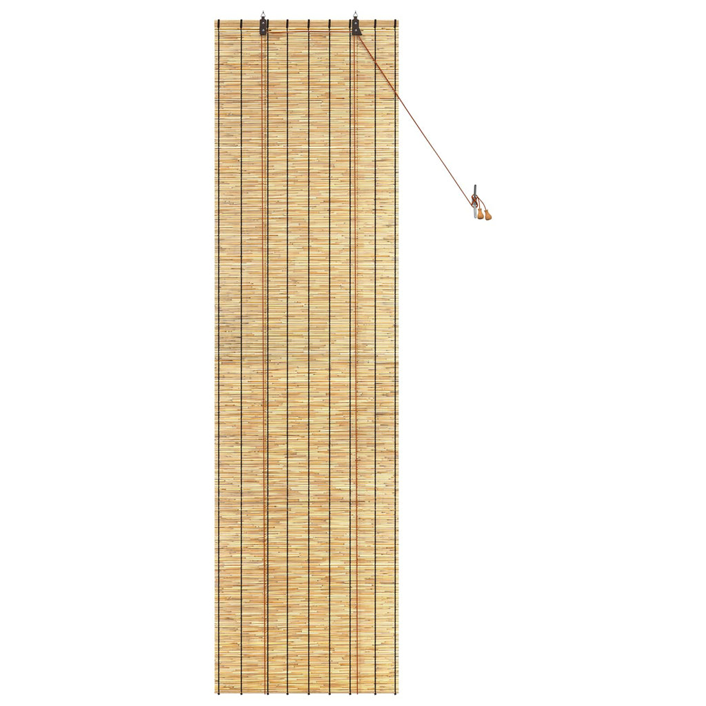 vidaXL Roleta naturalny 60 x 220 cm Trzcina