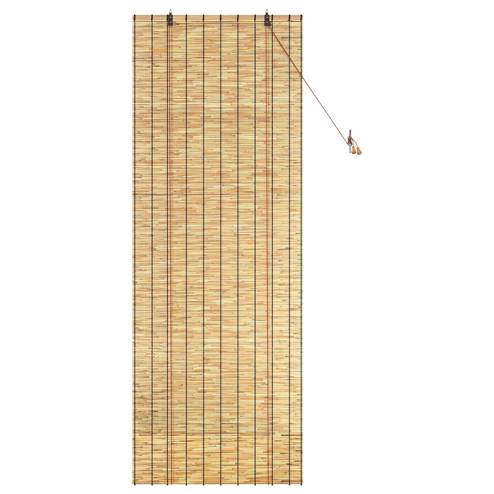 vidaXL Roleta naturalny 80 x 220 cm Trzcina
