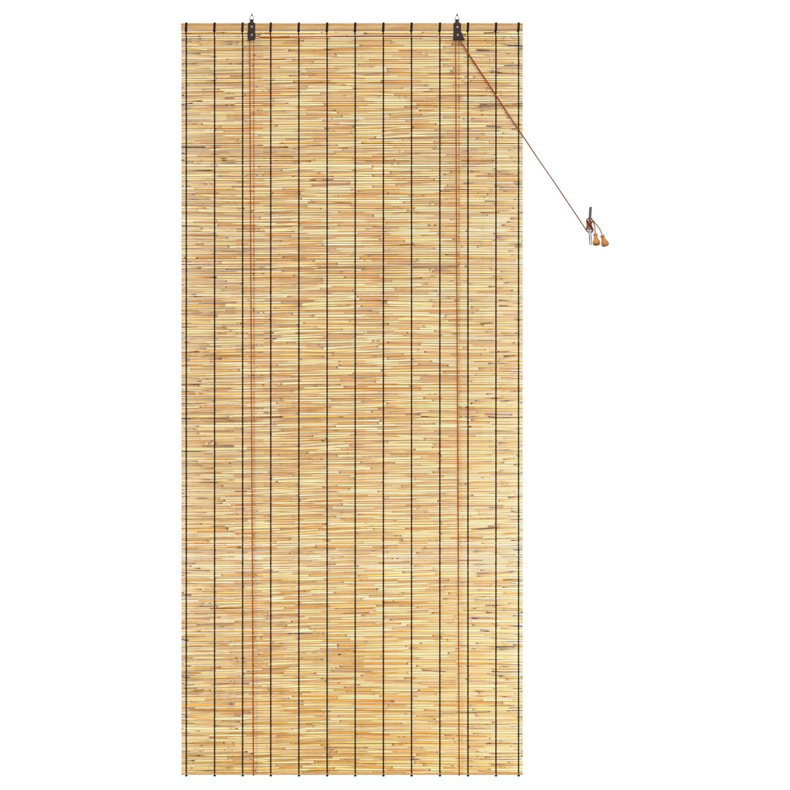 vidaXL Roleta naturalny 100 x 220 cm Trzcina