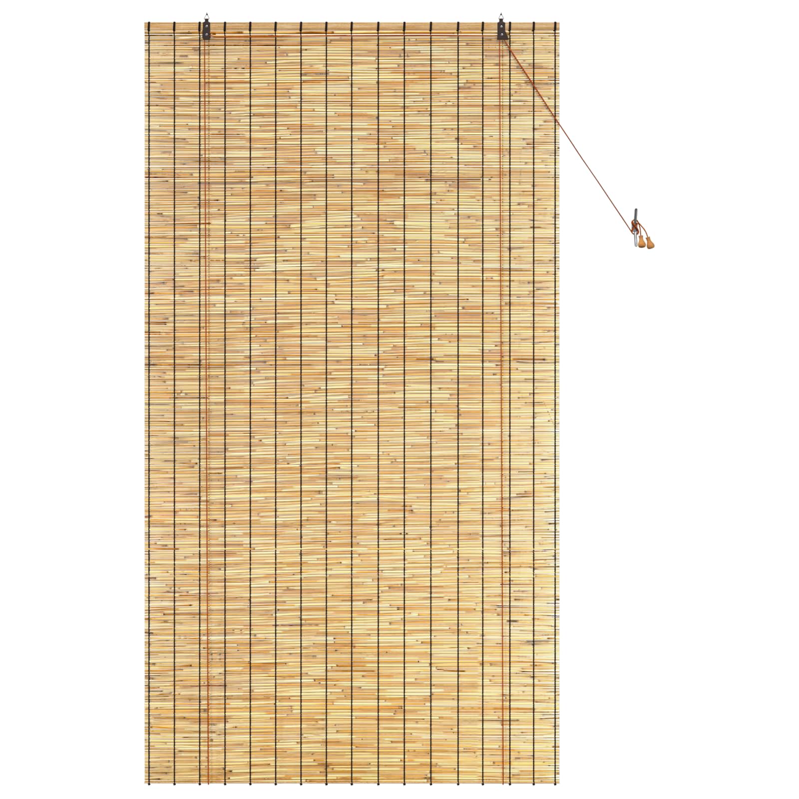 vidaXL Roleta naturalny 120 x 220 cm Trzcina