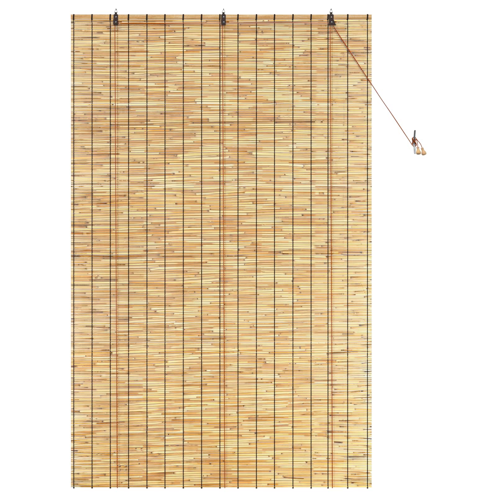 vidaXL Roleta naturalny 140 x 220 cm Trzcina