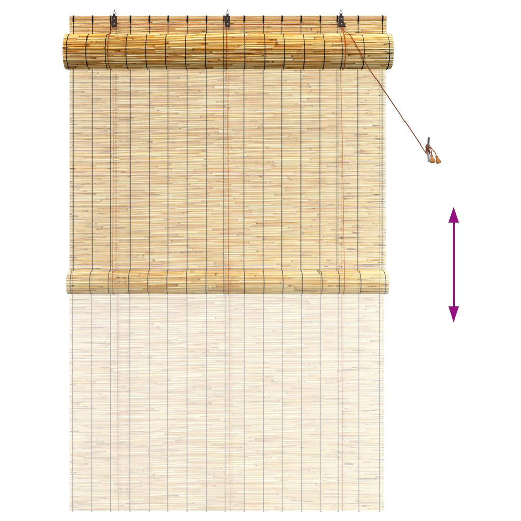 vidaXL Roleta naturalny 140 x 220 cm Trzcina
