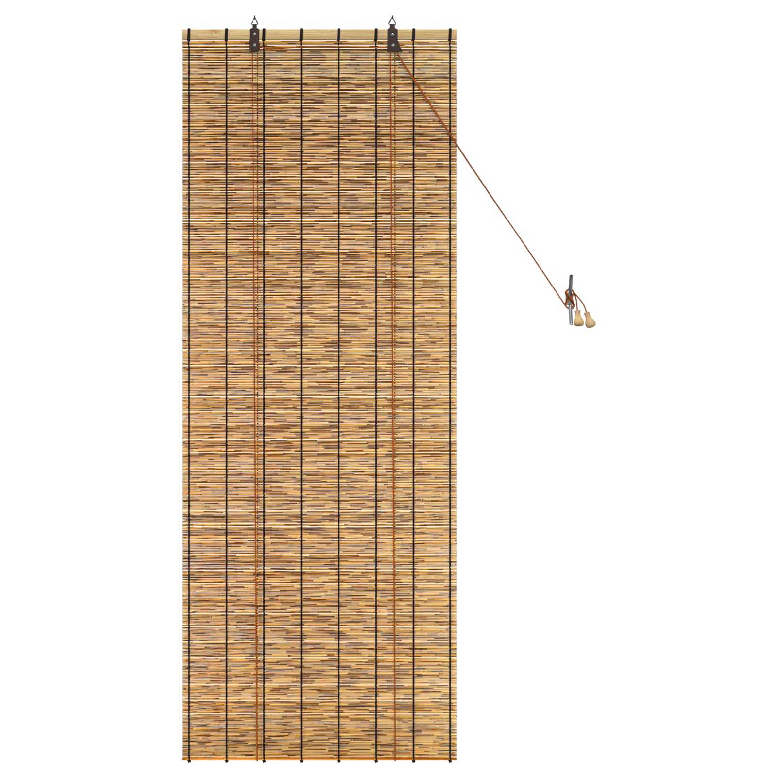 vidaXL Roleta brązowy 60 x 160 cm Trzcina
