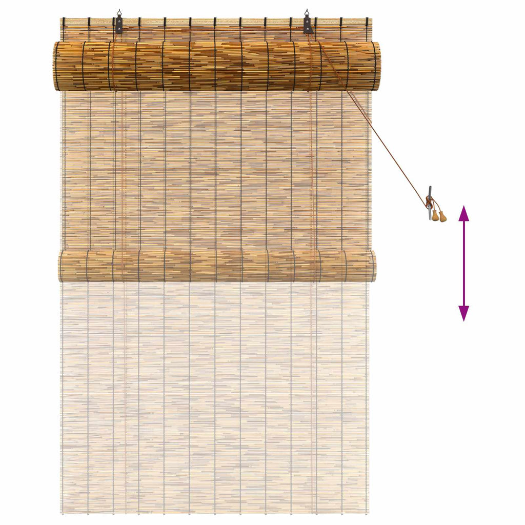vidaXL Roleta brązowy 100 x 160 cm Trzcina