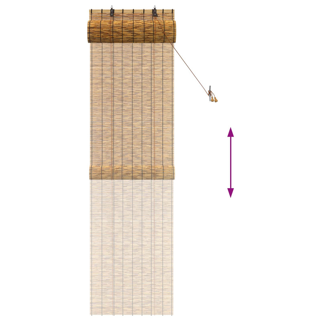 vidaXL Roleta brązowy 60 x 220 cm Trzcina