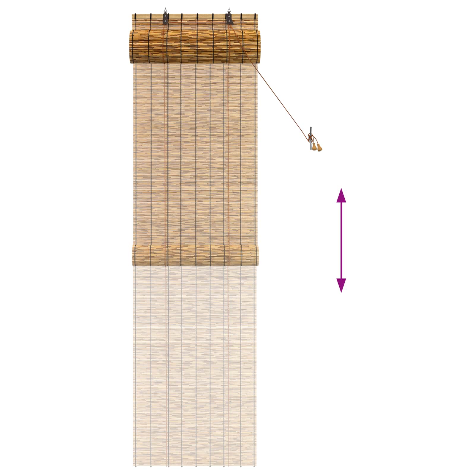 vidaXL Roleta brązowy 60 x 220 cm Trzcina