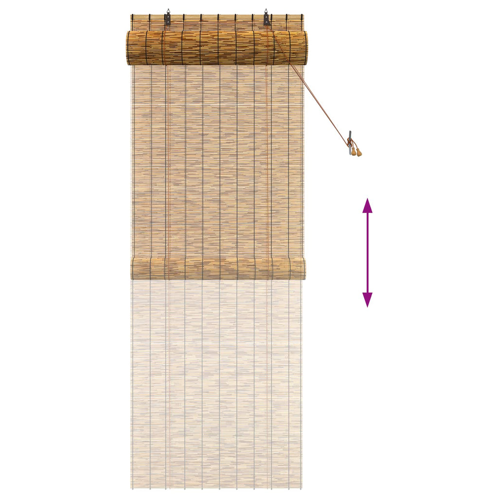 vidaXL Roleta brązowy 80 x 220 cm Trzcina