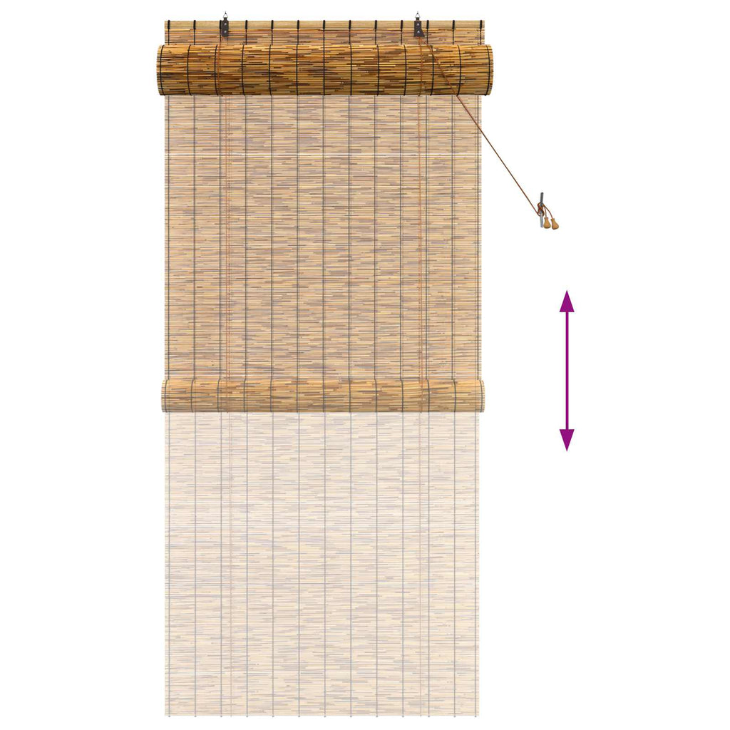vidaXL Roleta brązowy 100 x 220 cm Trzcina
