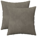 vidaXL Poszewka na poduszkę 2 pcs HEERLEN jasnoszary 30 x 30 cm Welur