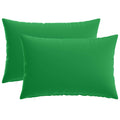 vidaXL Poszewka na poduszkę 2 pcs HEERLEN zielony 40 x 60 cm Poliester