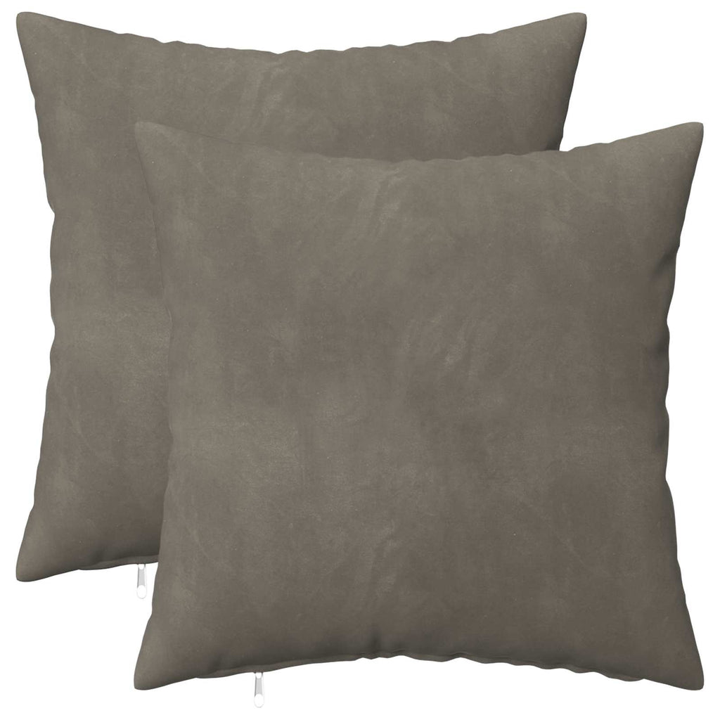 vidaXL Poszewka na poduszkę 2 pcs HEERLEN jasnoszary 45 x 45 cm Welur